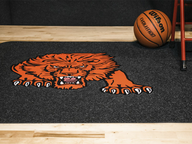 Gallery1-sideline-fa